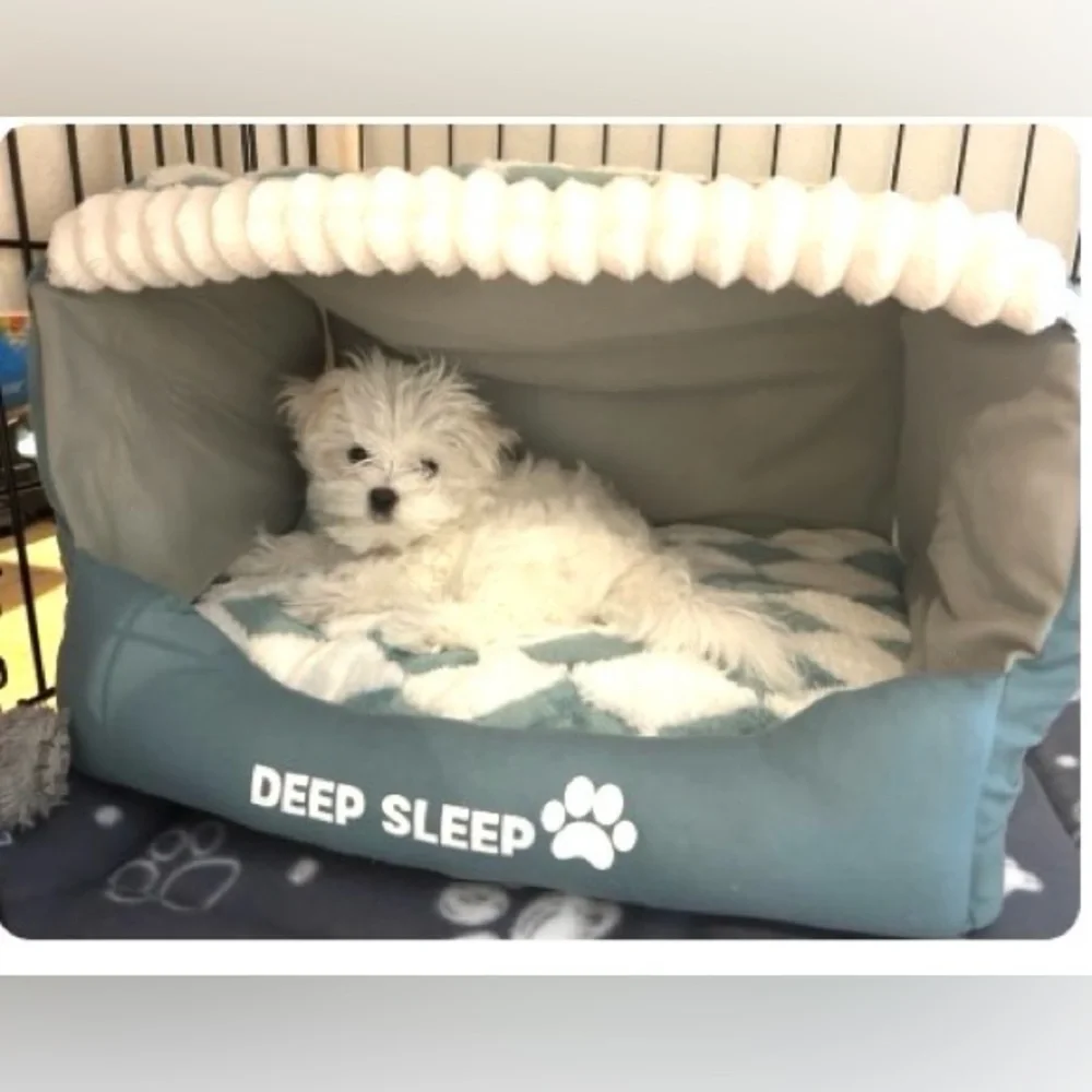 Cozy Dog House Sm NEW